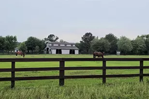 41015 Kimber Ln, Magnolia, TX 77354 - Photo 2
