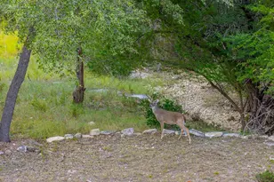 156 Lakefront Dr, Point Venture, TX 78645 - Photo 28