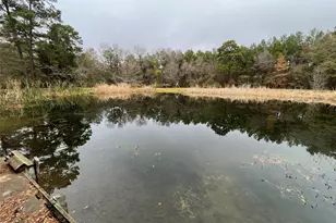 15674 Shatterway Ln, Willis, TX 77318 - Photo 10