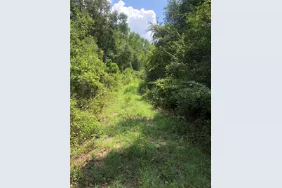 Tbd Block 02 Lot 12, Conroe, TX 77302 - Photo 2