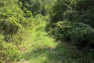 Tbd Block 02 Lot 12, Conroe, TX 77302 - Photo 2