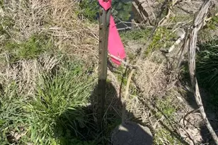 111 Antelope Ln, Seguin, TX 78155 - Photo 4