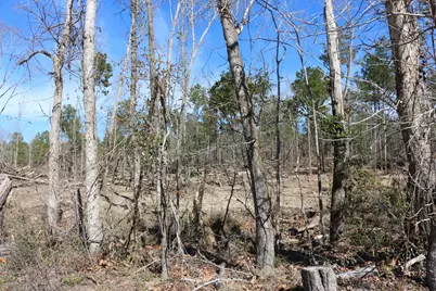 6-2 N Hwy 356, Onalaska, TX 77360 - Photo 14