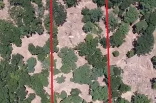 Lot 4 Crowley Rd, Conroe, TX 77301 - Photo 1