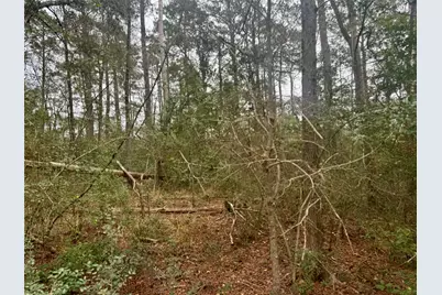 Tbd Eastwood Avenue, Coldspring, TX 77331 - Photo 14