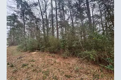 Tbd Eastwood Avenue, Coldspring, TX 77331 - Photo 2