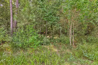 525 Little Spring Court, Anahuac, TX 77514 - Photo 8