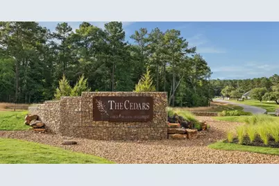 8652 Cedar Meadow Lane, Plantersville, TX 77363 - Photo 2