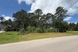 8652 Cedar Mdw Ln, Plantersville, TX 77363 - Photo 1