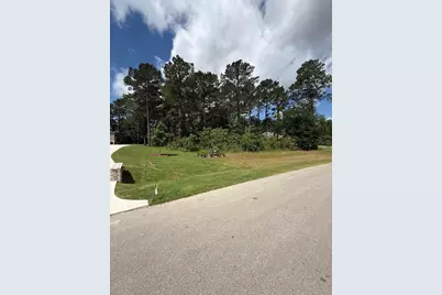 8652 Cedar Meadow Lane, Plantersville, TX 77363 - Photo 4