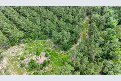 Xxx County Road 1450, Warren, TX 77664 - Photo 6