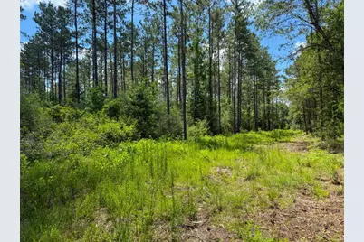 Xxx County Road 1450, Warren, TX 77664 - Photo 44