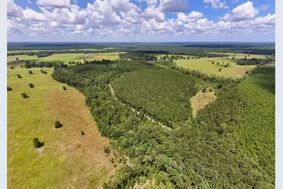 Xxx County Road 1450, Warren, TX 77664 - Photo 10