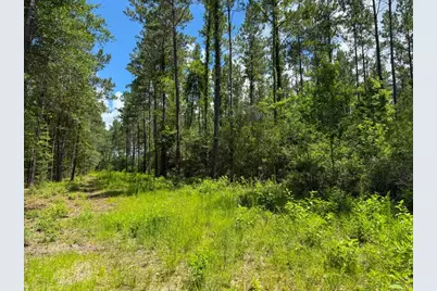 Xxx County Road 1450, Warren, TX 77664 - Photo 38