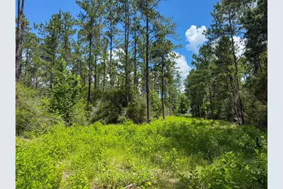 Xxx County Road 1450, Warren, TX 77664 - Photo 36