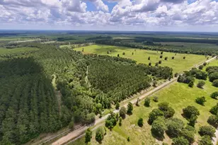 Xxx County Road 1450, Warren, TX 77664 - Photo 1