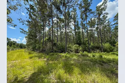 Xxx County Road 1450, Warren, TX 77664 - Photo 30