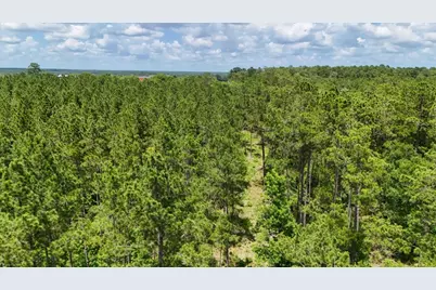 Xxx County Road 1450, Warren, TX 77664 - Photo 16