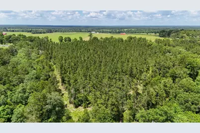 Xxx County Road 1450, Warren, TX 77664 - Photo 14