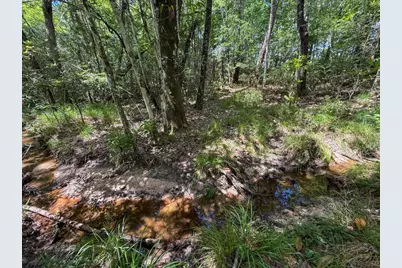 Xxx County Road 1450, Warren, TX 77664 - Photo 42