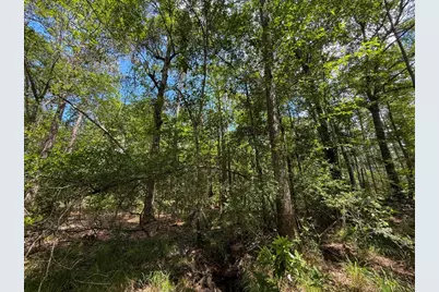 Xxx County Road 1450, Warren, TX 77664 - Photo 40