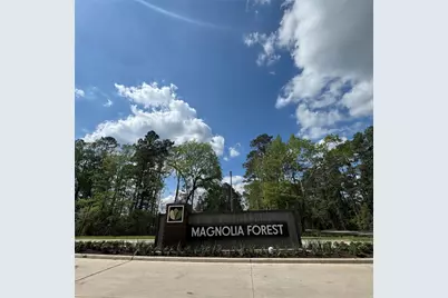 6269 Alder Creek, Montgomery, TX 77316 - Photo 2