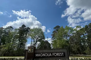 6269 Alder Creek, Montgomery, TX 77316 - Photo 2