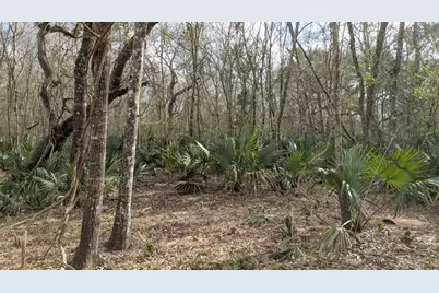 19910 County Road 684A, Sweeny, TX 77480 - Photo 4