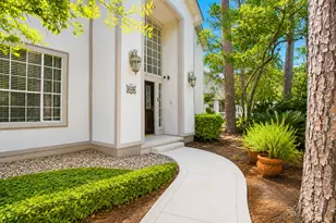 19 Heather Wisp Pl, The Woodlands, TX 77381 - Photo 10