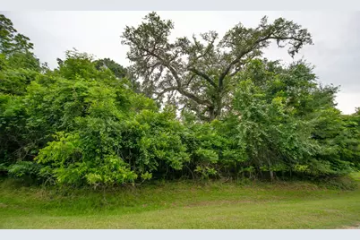 1015 W Point Drive, Rosharon, TX 77583 - Photo 6