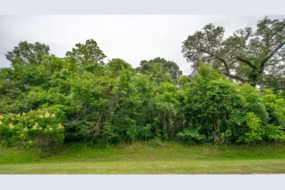 1015 W Point Drive, Rosharon, TX 77583 - Photo 2