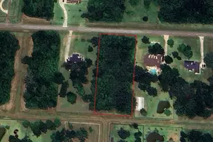 1015 W Point Dr, Rosharon, TX 77583 - Photo 1