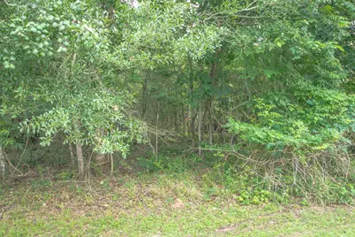 1015 W Point Drive, Rosharon, TX 77583 - Photo 4