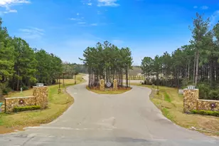 10751 Ruger Rd, Willis, TX 77378 - Photo 16