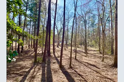 10751 Ruger Road, Willis, TX 77378 - Photo 14