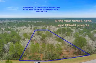 10751 Ruger Rd, Willis, TX 77378 - Photo 2