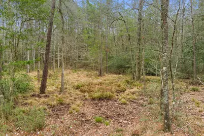 10751 Ruger Road, Willis, TX 77378 - Photo 12