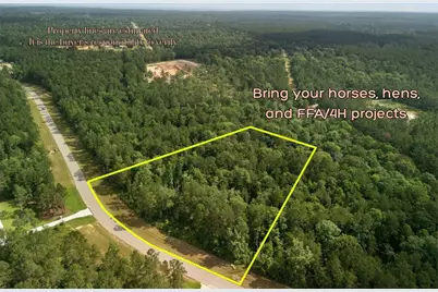 10751 Ruger Road, Willis, TX 77378 - Photo 2
