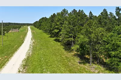 0 Lost Creek Road, Lovelady, TX 75851 - Photo 6