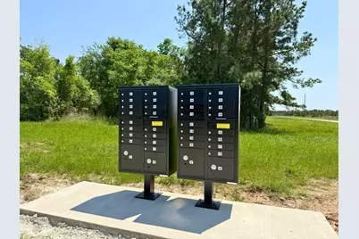 0 Lost Creek Road, Lovelady, TX 75851 - Photo 4