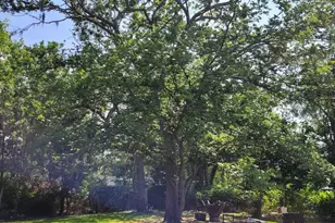 1714 County Rd 244E, Brazoria, TX 77422 - Photo 8