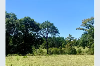 000 County Road 137, Bedias, TX 77831 - Photo 12