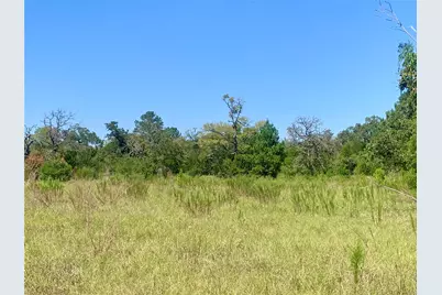 000 County Road 137, Bedias, TX 77831 - Photo 20