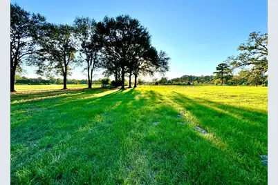 27687 T-2 Hoke Road, Richards, TX 77873 - Photo 20