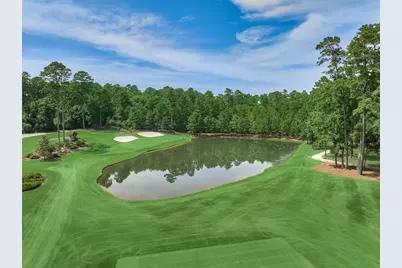 4477 Lily Bean Road, Montgomery, TX 77316 - Photo 22