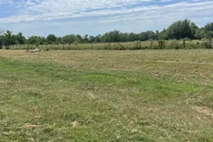 17520 Julia Ave, Needville, TX 77461 - Photo 8