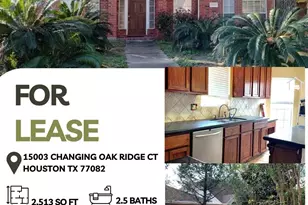 15003 Changing Oak Ridge Ct, Houston, TX 77082 - Photo 1