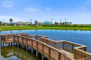 25615 Spotted Sandpiper Dr, Galveston, TX 77554 - Photo 42