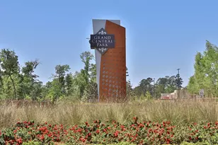 119 Sierra Strm Ct, Conroe, TX 77304 - Photo 10