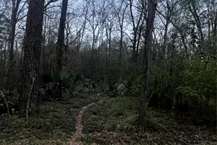 0 Elm St, Huffman, TX 77336 - Photo 1